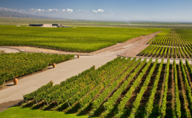 Mendoza -